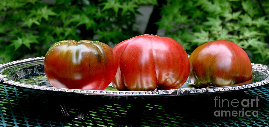 Black Krim Heirloom Tomatoes  2 Photograph by Tatyana Searcy