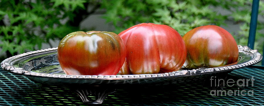 Black Krim Heirloom Tomatoes  3 Photograph by Tatyana Searcy