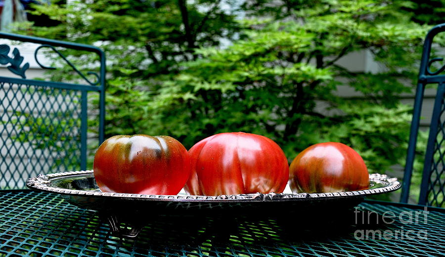 Black Krim Heirloom Tomatoes Photograph by Tatyana Searcy
