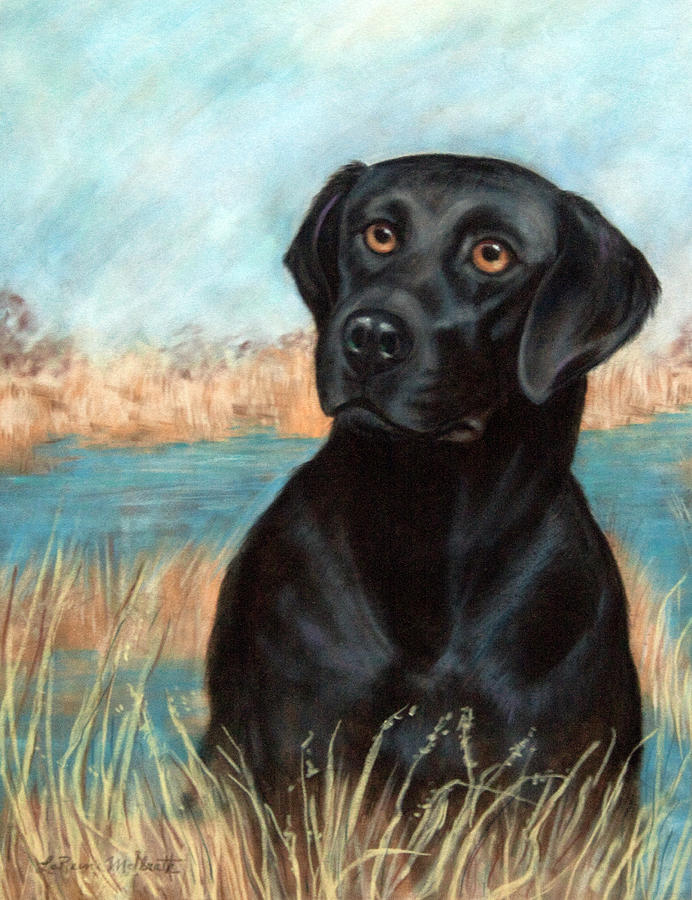 Black Lab Painting by LaReine McIlrath | Fine Art America