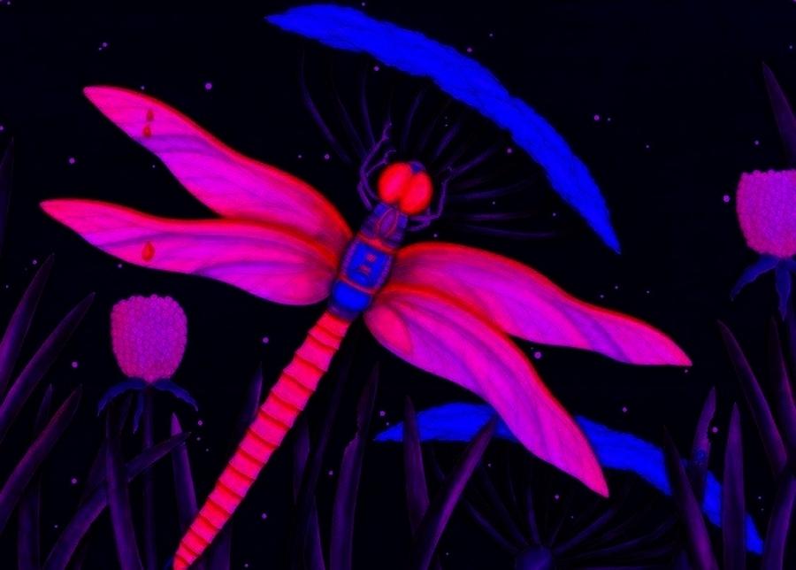 Nature Digital Art - Black Light Dragonfly by Norman Sandow