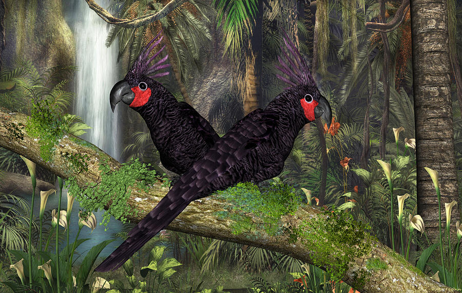Black Palm Cockatoo Digital Art by Walter Colvin
