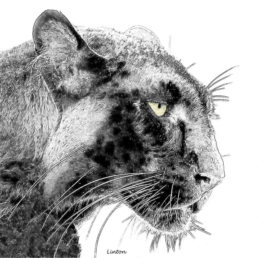 Black Panther 3 Digital Art by Larry Linton