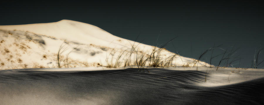 Desert Photograph - Black Sands of Kelso Dunes by Chris Brannen