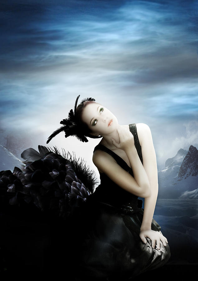 Swan Digital Art - Black Swan by Julie L Hoddinott