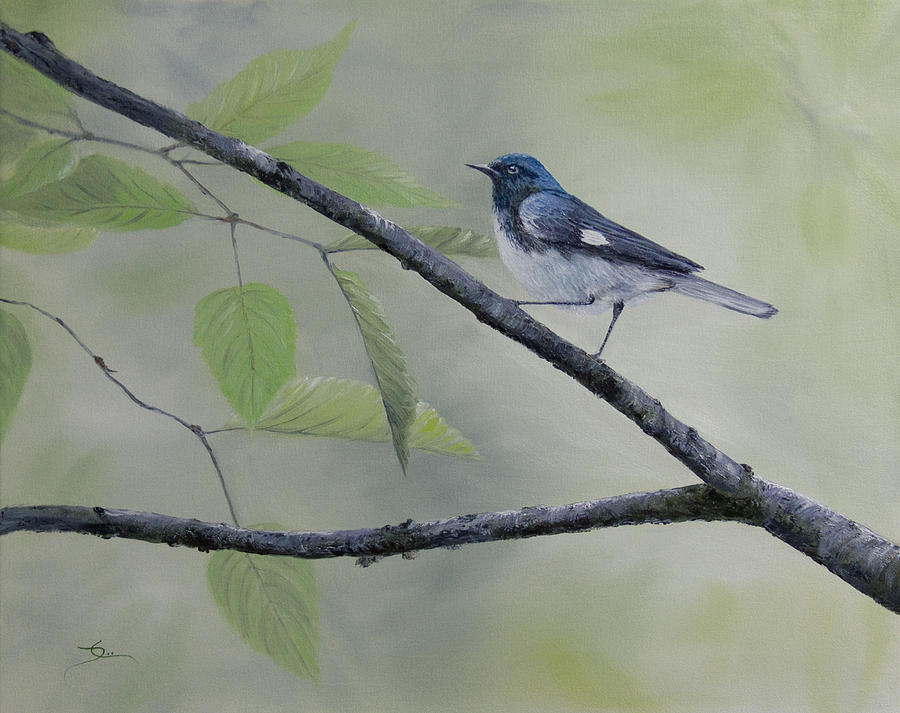 Black-Throated Blue Warbler Painting by Dee Carpenter