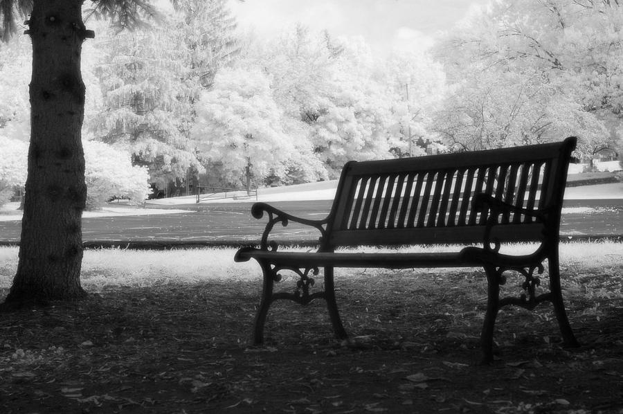 Charleston Black and White Infrared Charleston Battery Park Bench Photograph by Kathy Fornal