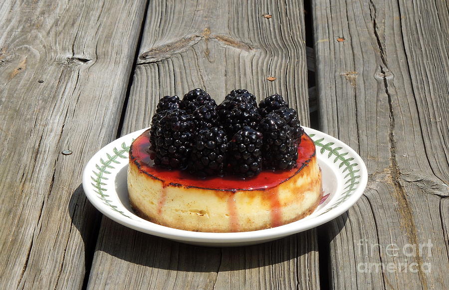 Blackberry Cheesecake Photograph by Renee Trenholm