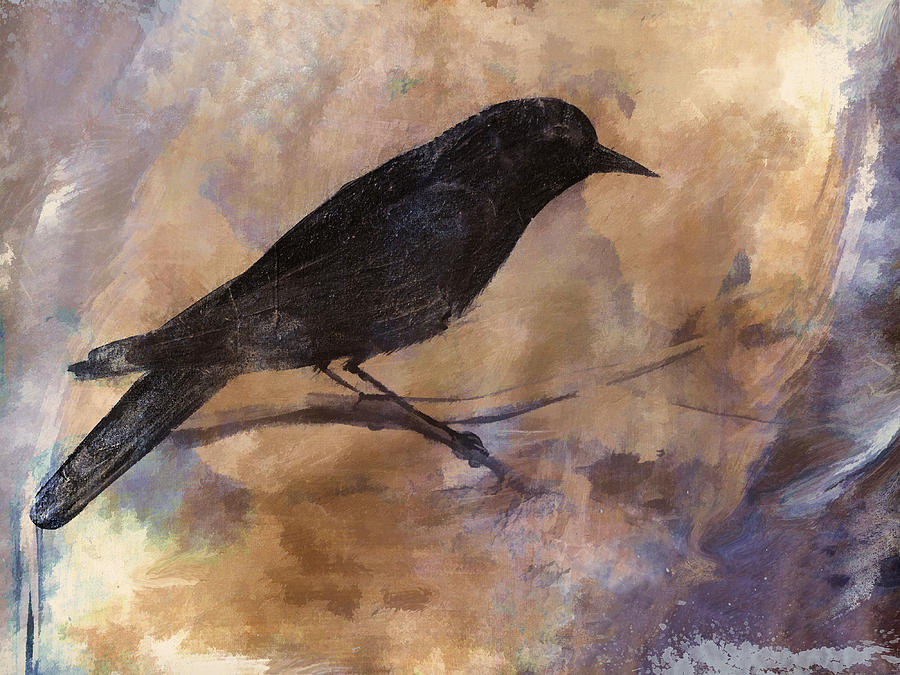 Blackbird Photograph - Blackbird by Carol Leigh