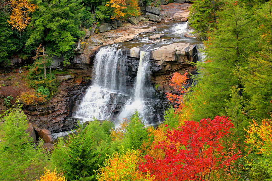 Blackwater Falls SP Photograph by Mary Almond