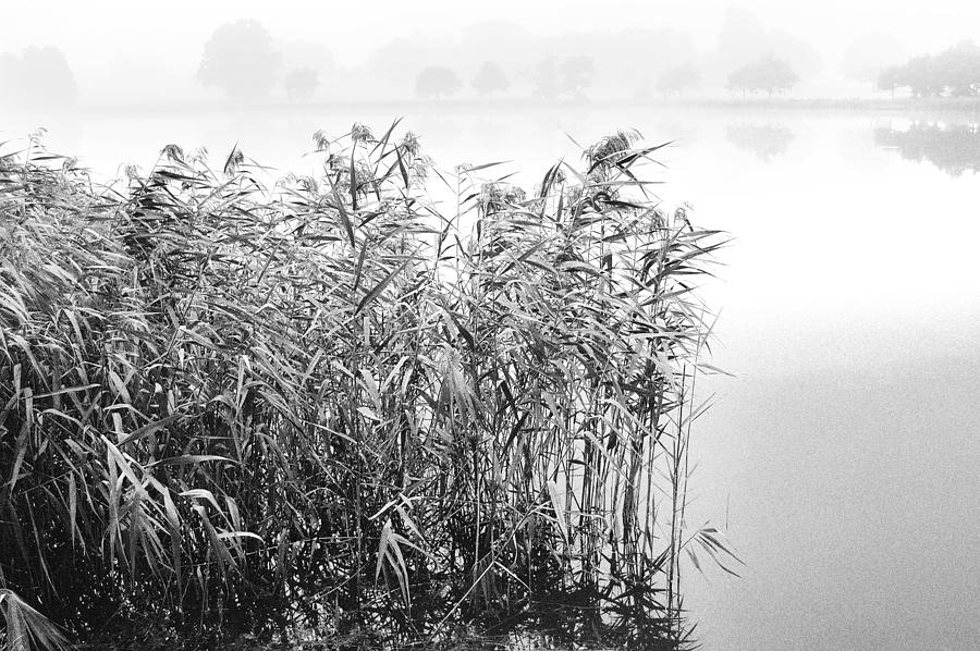 Landscape Photograph - Blickling Lake by Simon Pocklington