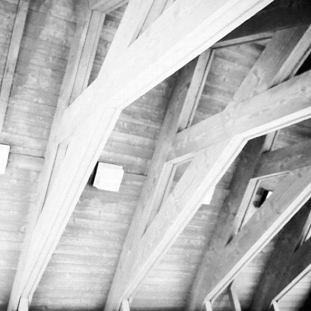 Blk & Wht Beams Photograph by Eimi Middlekauff