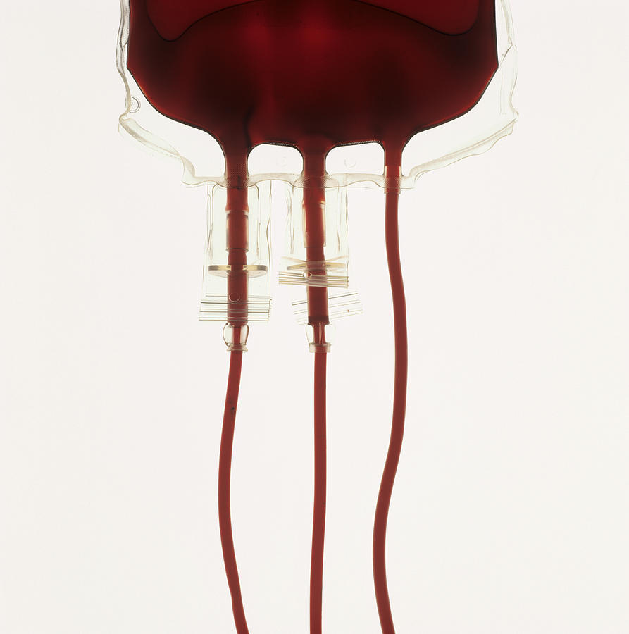 Still Life Photograph - Blood Bag by Kevin Curtis