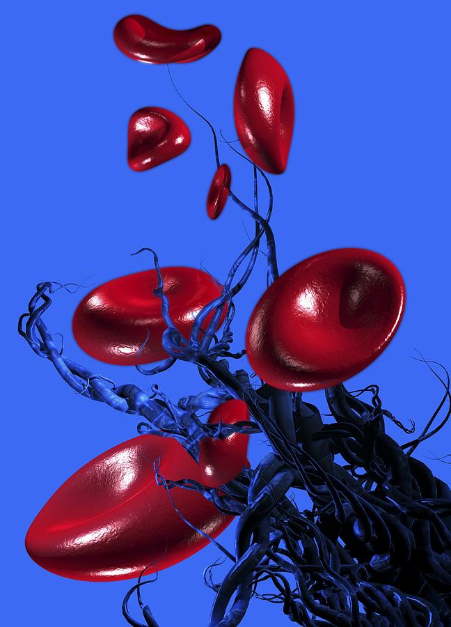 Blood Clotting, Conceptual Artwork Digital Art by Victor Habbick Visions
