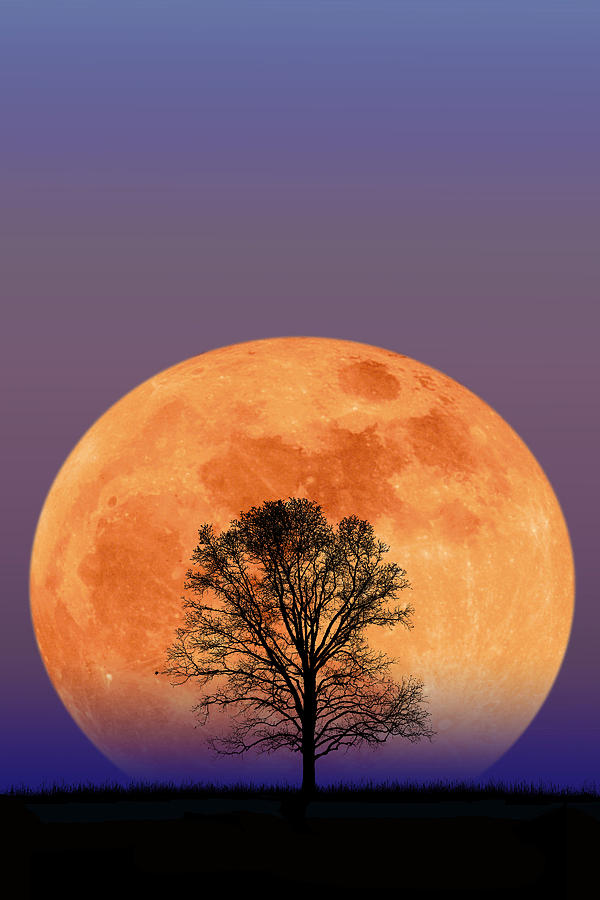 Blood Moon Rising Photograph by Larry Landolfi