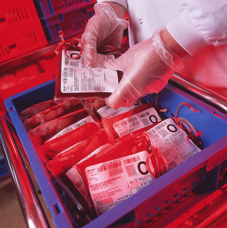 Blood Bags Photograph - Blood Storage by Tek Image