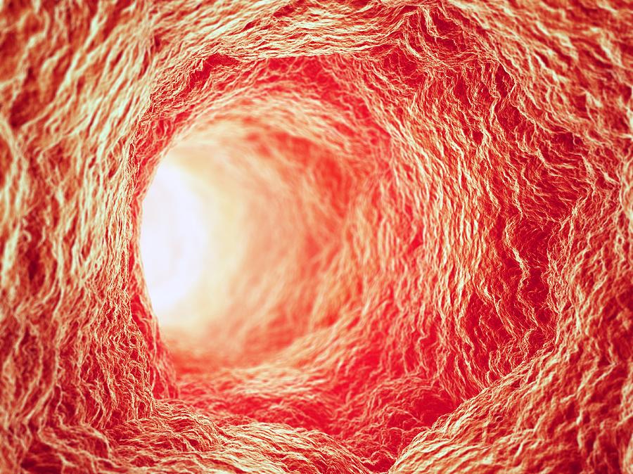 Blood Vessel Interior, Artwork Digital Art by Andrzej Wojcicki