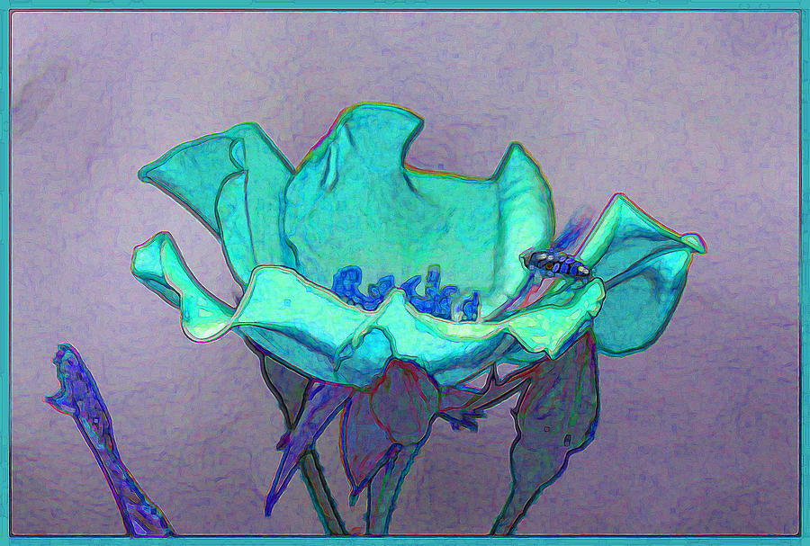 Bloom In Aqua Digital Art By Jt Gardner Pixels