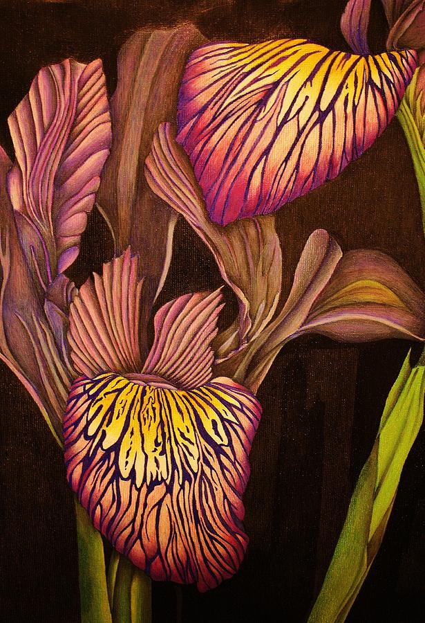 Nature Drawing - Blooming Irises by Bruce Bley