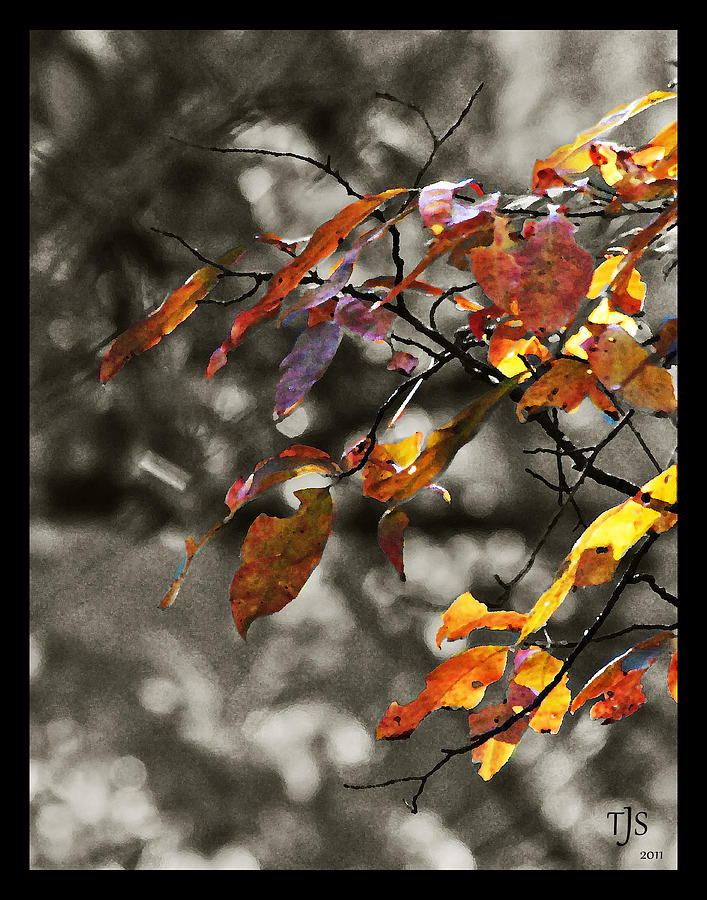 Fall Photograph - Blowin In The Wind 3 - 2nd edit by Tanya Jacobson-Smith