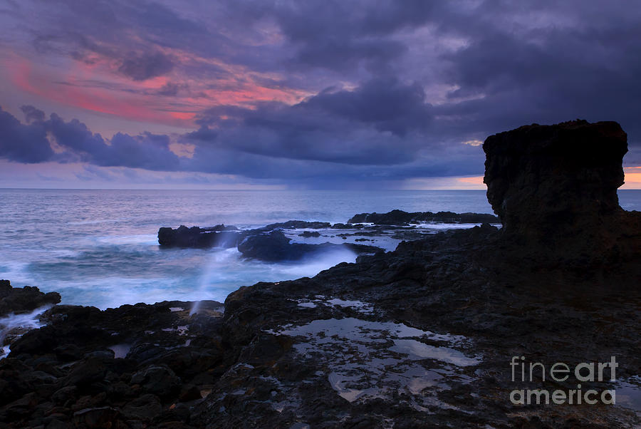 Paradise Photograph - Blowing off a Little Steam by Michael Dawson