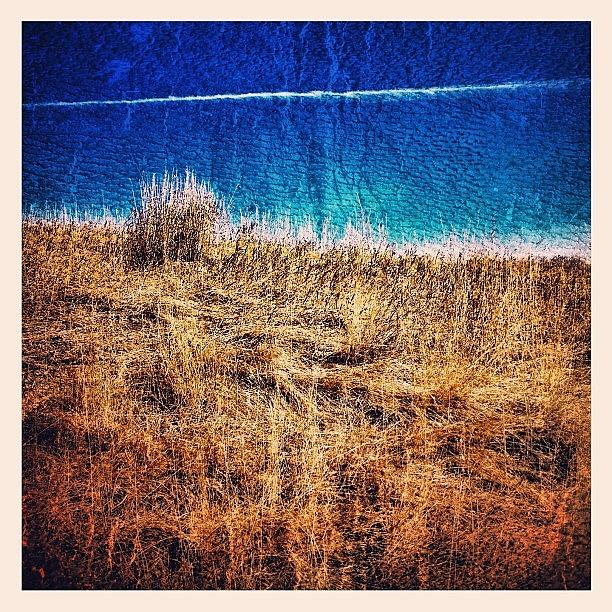 Contrail Photograph - Blue & Gold  #sky #grass #contrail by John Gaucher