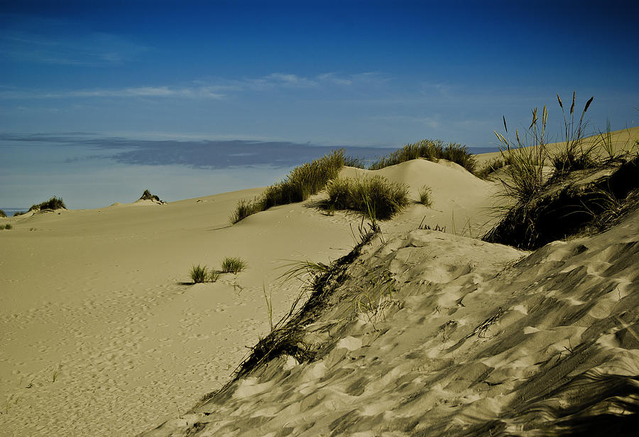Blue above the Dunes Photograph by Dale Stillman