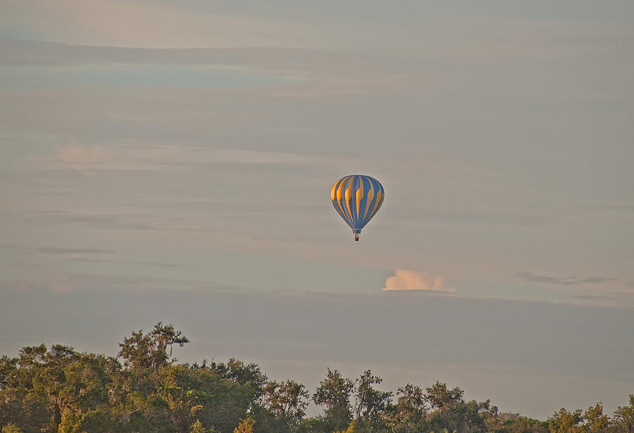 Blue And Gold Balloon Photograph by John Black