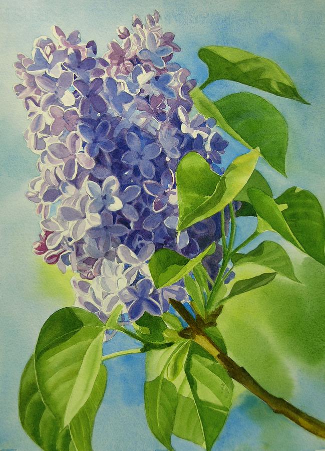 Blue and Lavender Lilacs Painting by Sharon Freeman