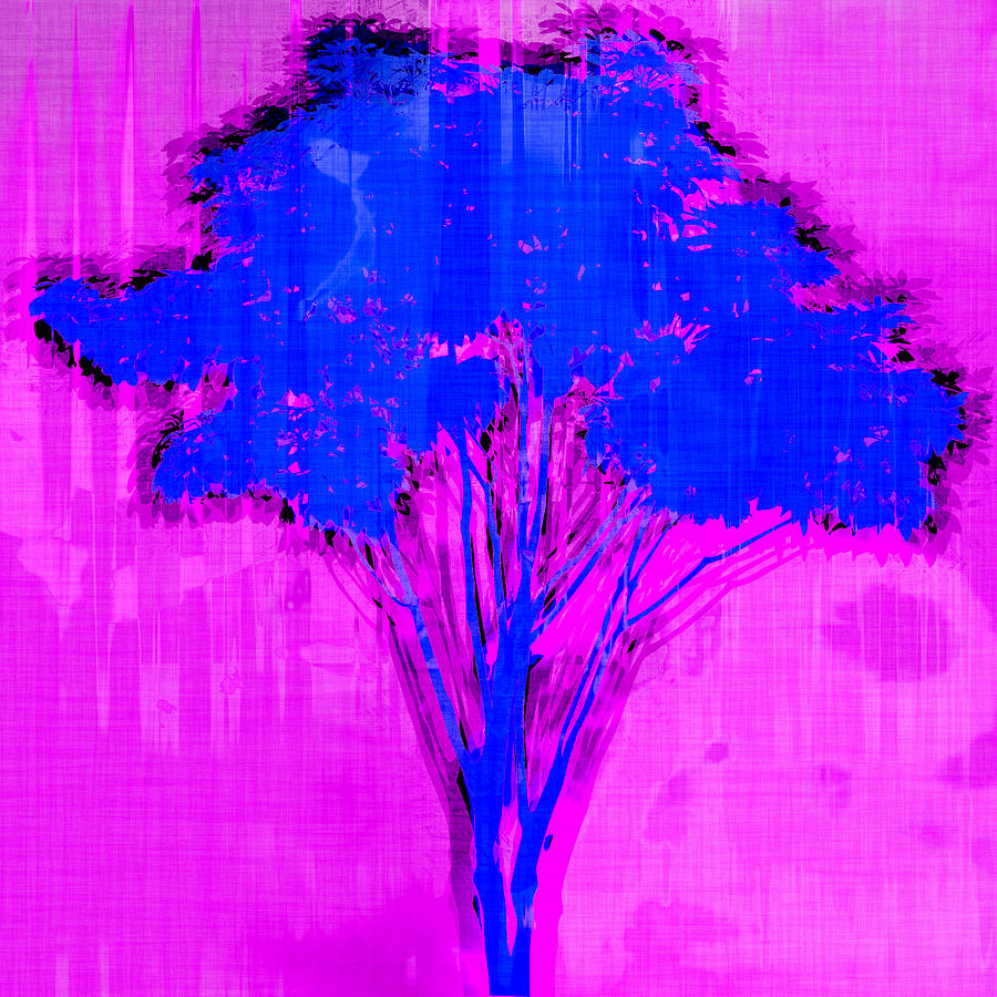 Blue and Pink Abstract Tree Photograph by David G Paul
