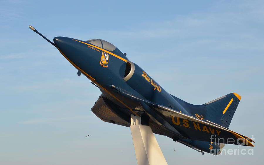 Blue Angels Photograph by Donna Brown