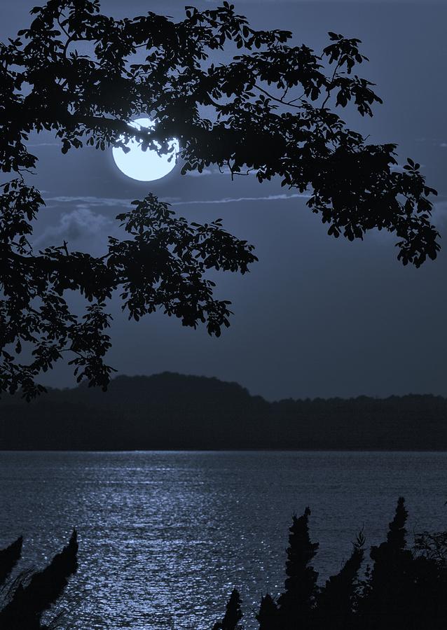 Blue Bay - A tropical paradise, the moon glancing thru the leaves and reflecting off the bay Photograph by Billy Beck