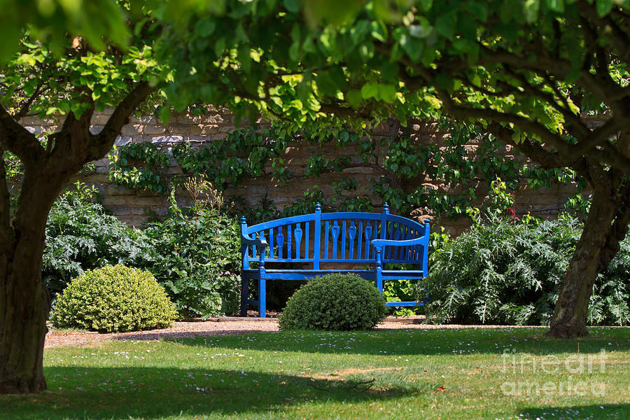 Castle Photograph - Blue bench by the garden wall by Louise Heusinkveld
