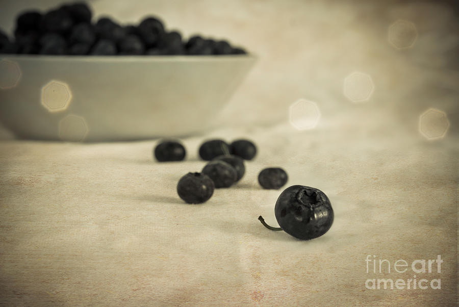 Blue Berries Vintage Photograph by Hannes Cmarits