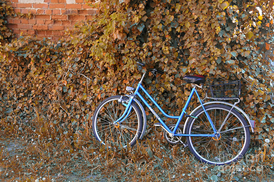 Blue Bike Photograph by Teresa Zieba