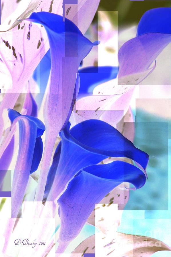 Blue Calla Lily2 by Donna Bentley