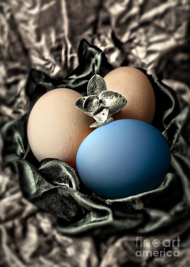 Blue Classy Easter Egg Photograph by Danuta Bennett