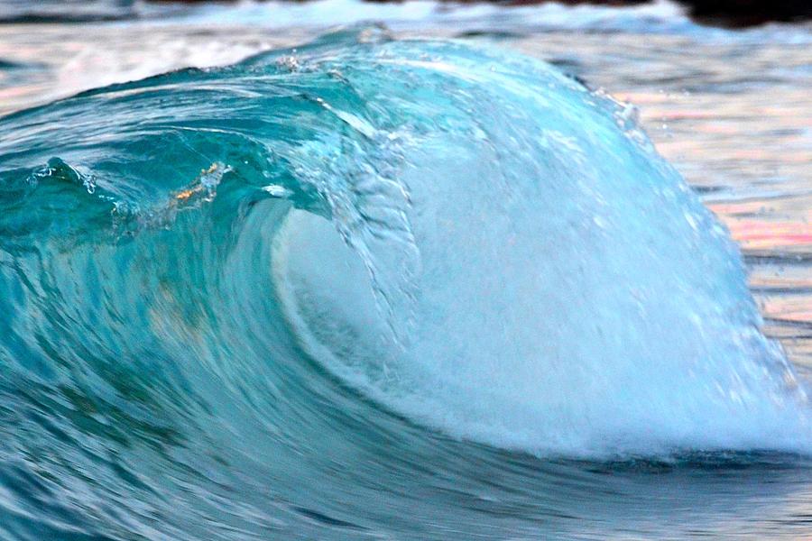 Blue Curl Photograph by Catherine Murton