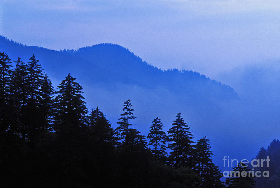 Blue Dawn - FS000064 Photograph by Daniel Dempster