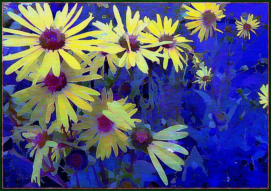 Daisy Photograph - Blue Days Ease by Mindy Newman