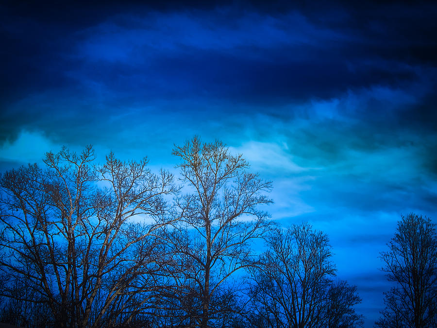Hdr Photograph - Blue Delight by Victoria Ashley Hdr Photograph - Blue Delight by Victoria Ashley