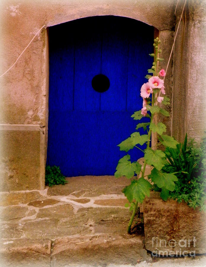 Blue Door and Pink Hollyhocks Photograph by Lainie Wrightson