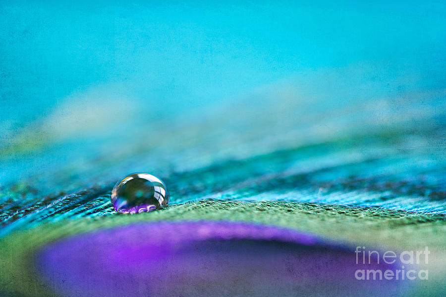 Blue Drop Photograph by Kim Fearheiley