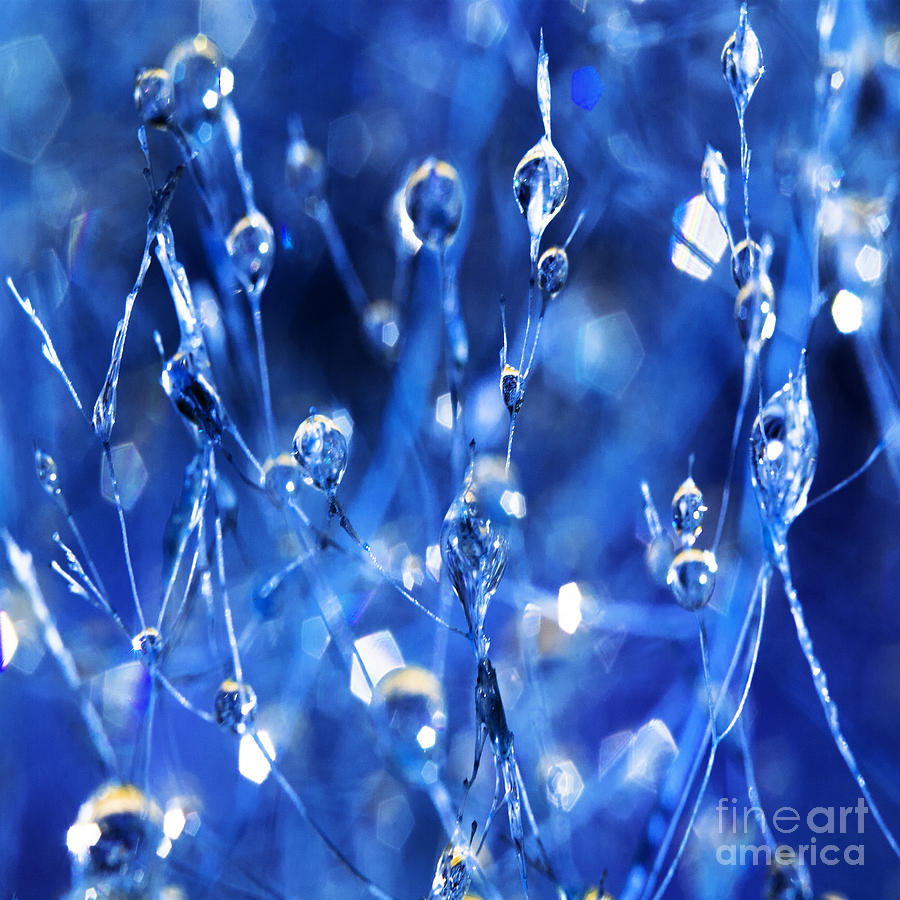 Blue Droplets Photograph by Ang El