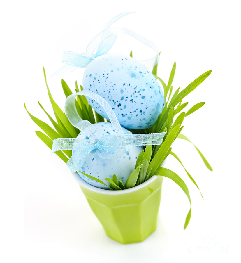 Easter Photograph - Blue Easter eggs and green grass by Elena Elisseeva
