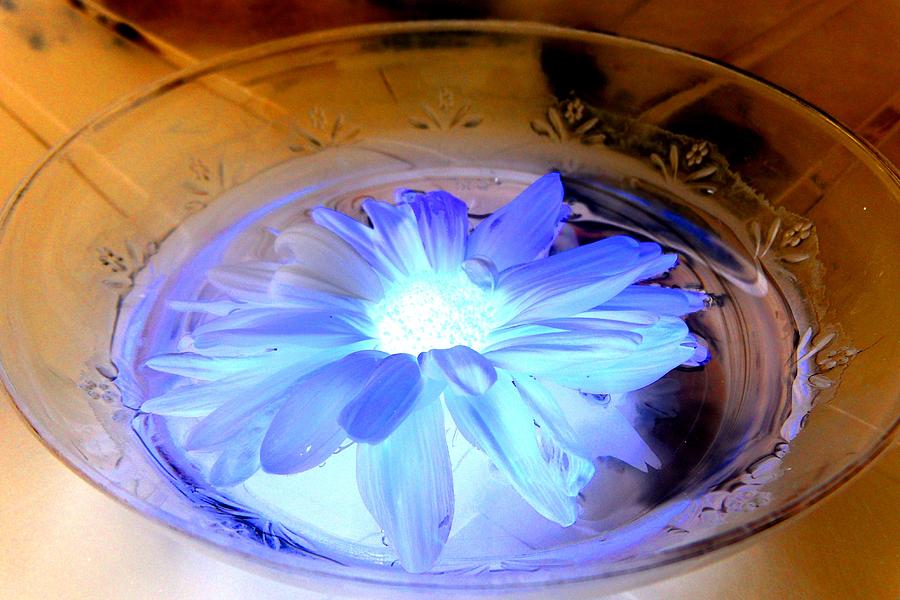 Blue Essence Photograph by Cyryn Fyrcyd