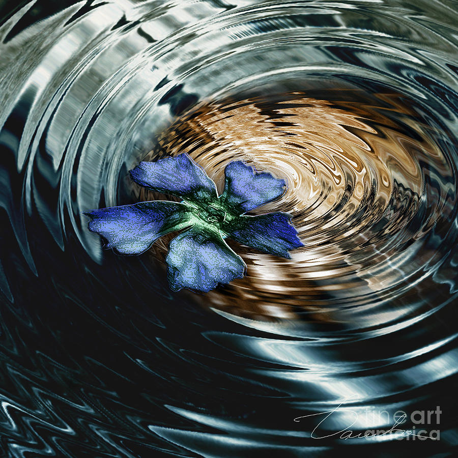 Blue flower swirl Photograph by Danuta Bennett