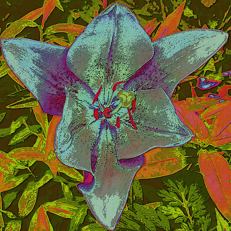 Abstract Photograph - Blue Flower by Tracy Daniels