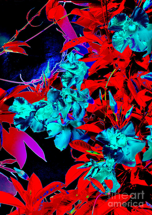 Abstract Photograph - Blue Flowers by Adriano Pecchio