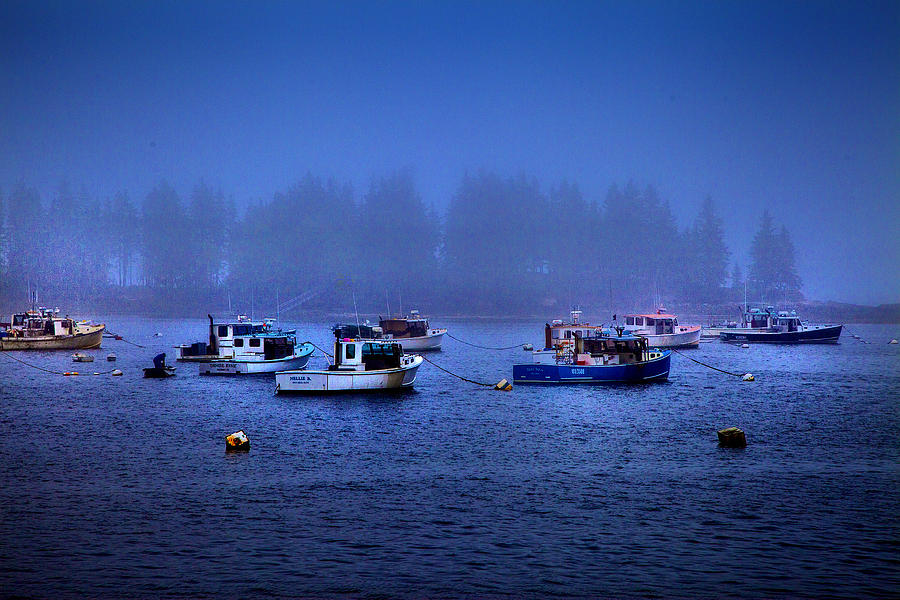 Blue Fog Photograph by Rick Bragan